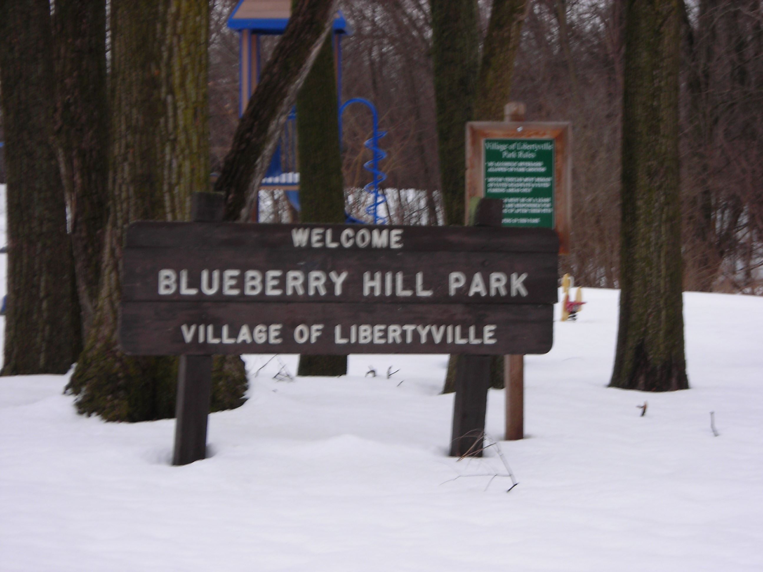 Blueberry Park